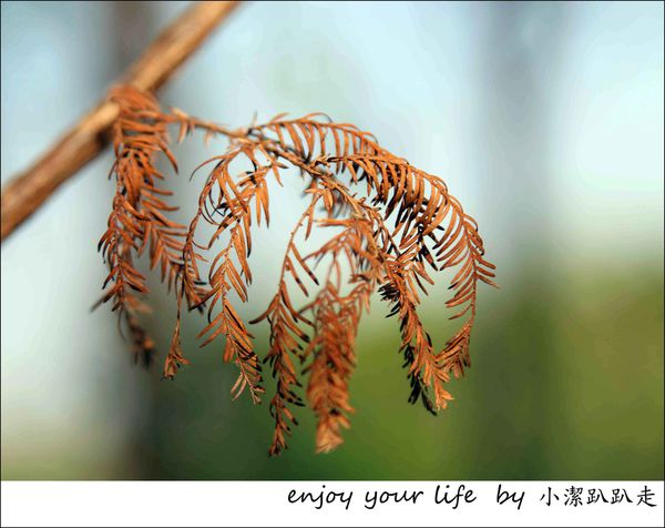 IMG_7508.JPG IMG_7508.JPG