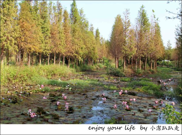 IMG_7472.JPG IMG_7472.JPG