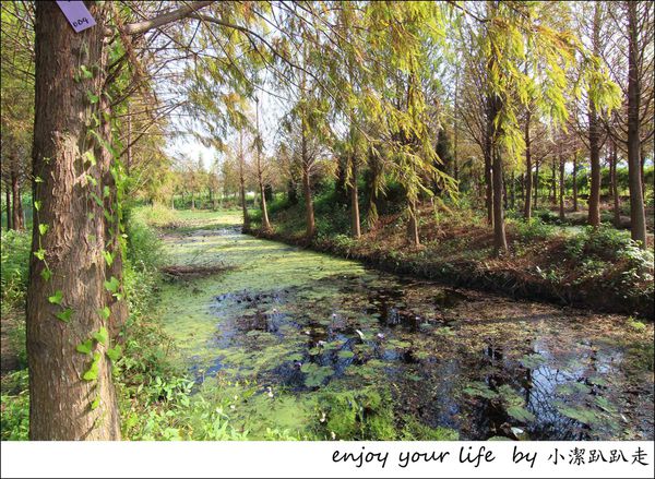 IMG_7451.JPG IMG_7451.JPG