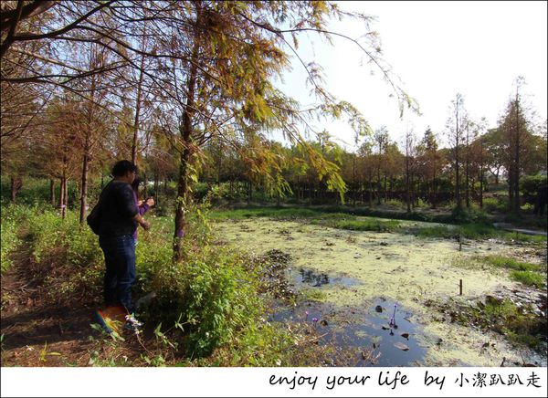 IMG_7459.JPG IMG_7459.JPG