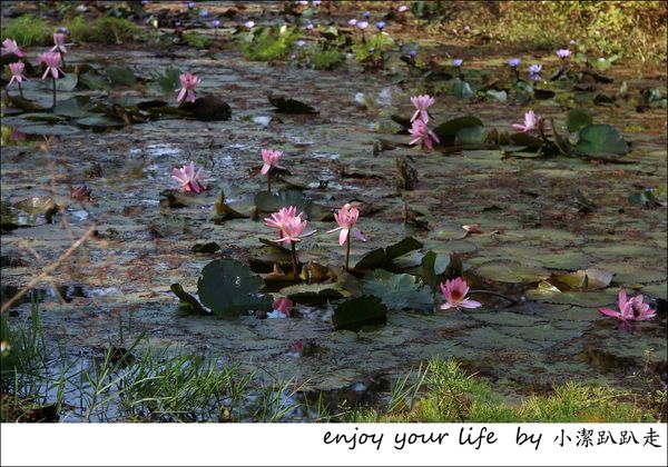 IMG_7481.JPG IMG_7481.JPG