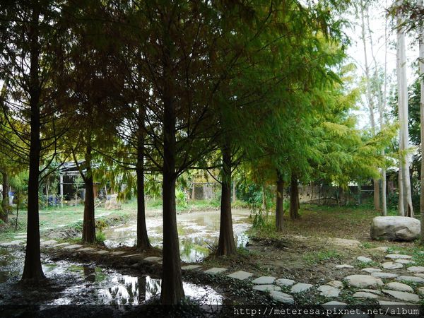 P1390597.JPG P1390597.JPG