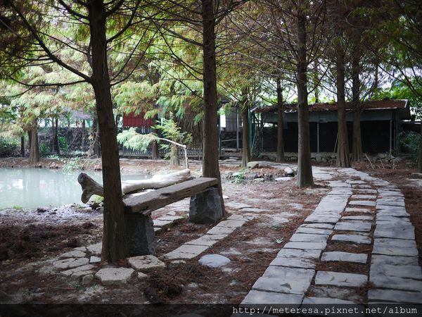 P1390621.JPG P1390621.JPG