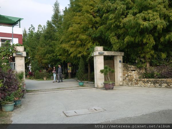 P1390577.JPG P1390577.JPG