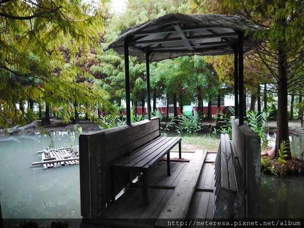 P1390598.JPG P1390598.JPG