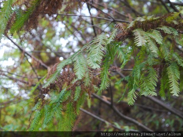 P1390611.JPG P1390611.JPG