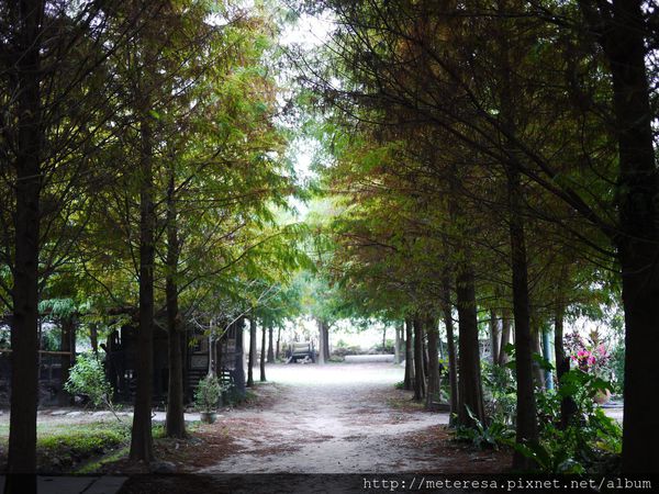 P1390617.JPG P1390617.JPG