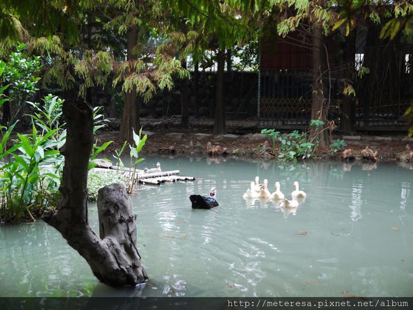 P1390614.JPG P1390614.JPG