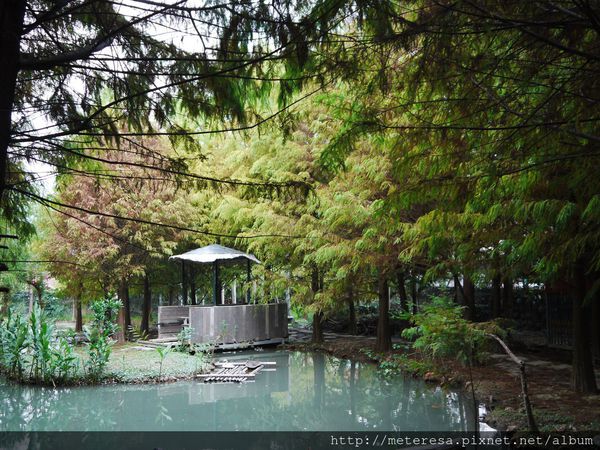 P1390593.JPG P1390593.JPG