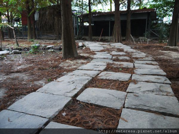 P1390594.JPG P1390594.JPG