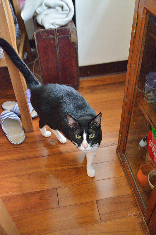 甜點私廚:香甜生活 La Vie Friande,美味與美好氛圍好像來到法國人家作客,新店美食下午茶推薦 TPE_0137.jpg