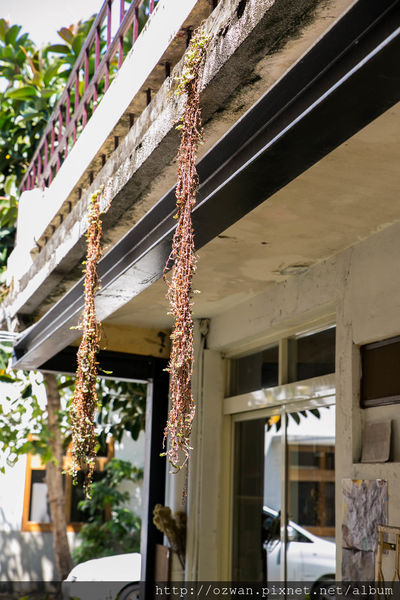 [玩樂]製造維他命D的美好太陽日～審計新村、好好手感微笑市集。