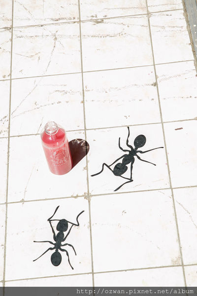 [玩樂]製造維他命D的美好太陽日～審計新村、好好手感微笑市集。