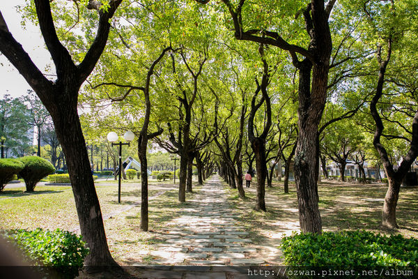 [玩樂]製造維他命D的美好太陽日～審計新村、好好手感微笑市集。