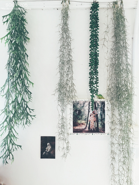 31699483203_998b327a94_o