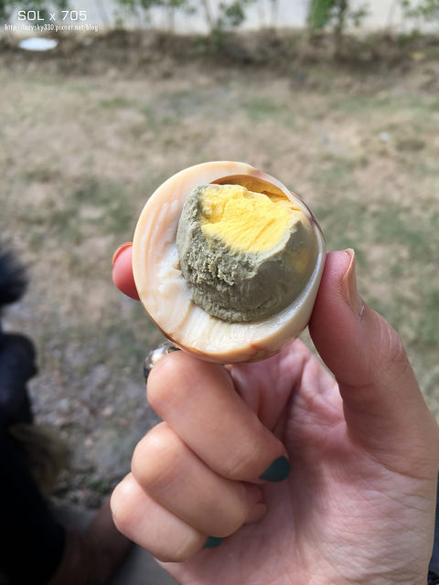 31699489173_0bd3be7272_o