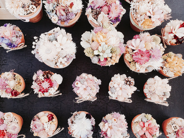 32470419236_ed4056ee99_o