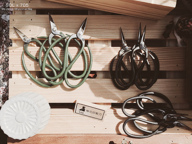 31667684854_fe0d2c1523_o