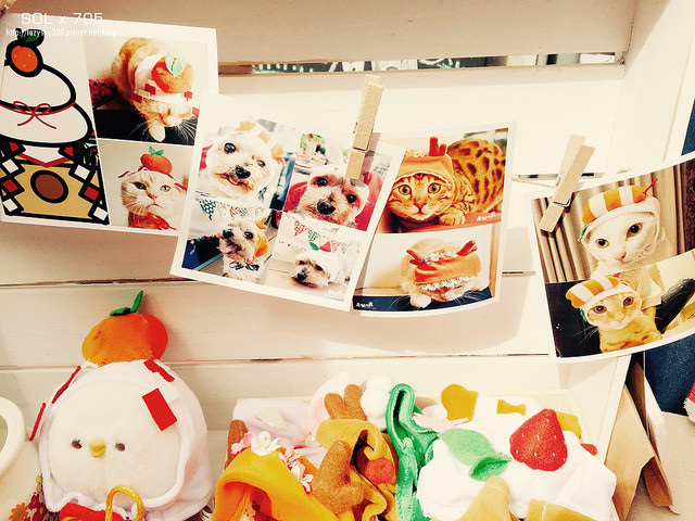 32132306460_5337bc8bcc_o