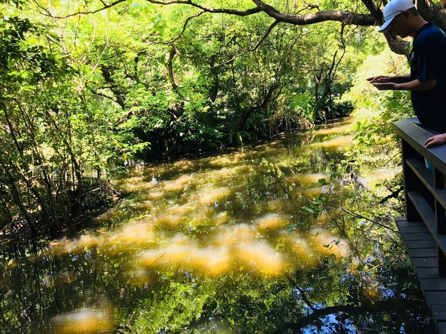 IMG_3809.JPG - 2018台北南區ig打卡景點