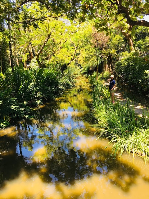 IMG_3792.JPG - 2018台北南區ig打卡景點