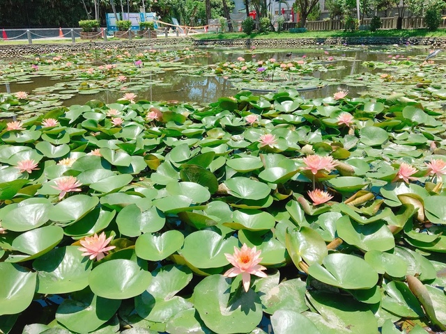 IMG_3856.JPG - 2018台北南區ig打卡景點