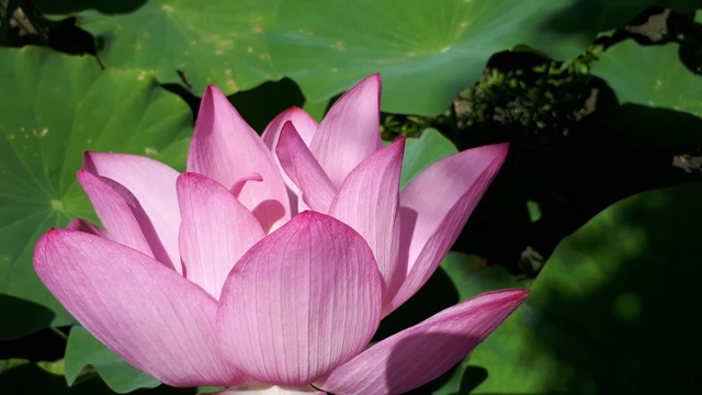 20180527_111144.jpg - 2018台北南區ig打卡景點