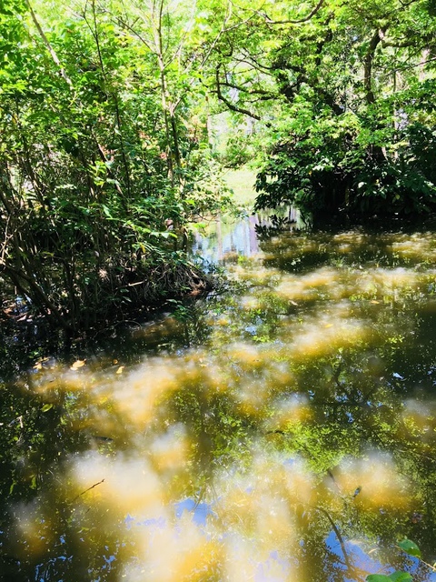 IMG_3813.JPG - 2018台北南區ig打卡景點