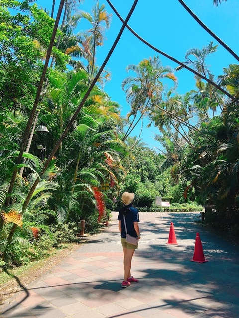 IMG_3752.JPG - 2018台北南區ig打卡景點