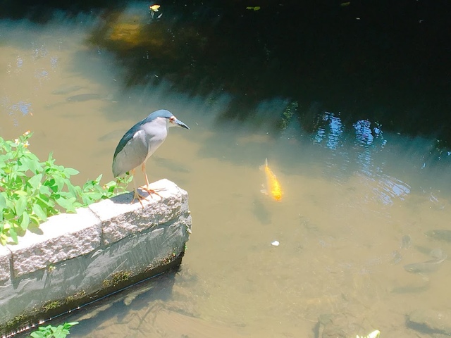 IMG_3761.JPG - 2018台北南區ig打卡景點