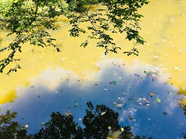 IMG_3799.JPG - 2018台北南區ig打卡景點