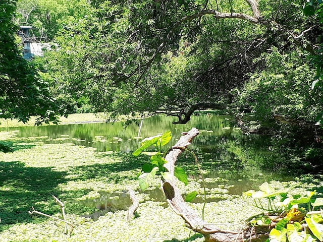 2018-05-27-10-39-06.jpg - 2018台北南區ig打卡景點