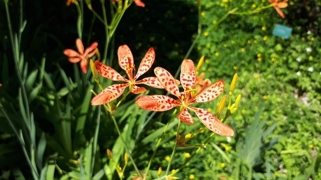 20180527_104957.jpg - 2018台北南區ig打卡景點