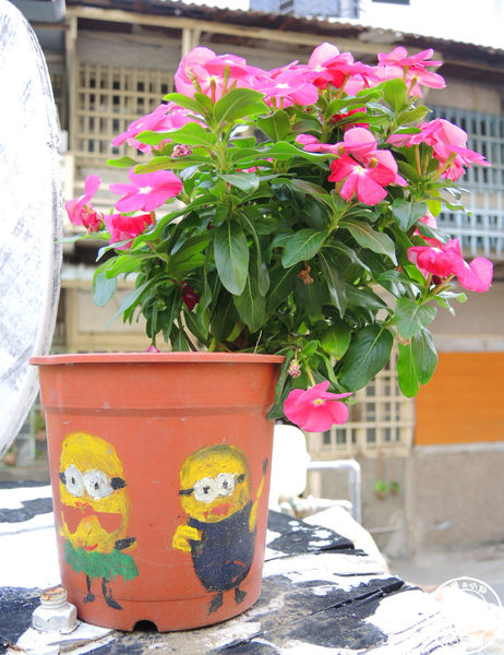 銀同社區藝術彩繪：作伙來企投【台南･銀同里彩繪巷弄 貓咪高地】貓咪控的好去處