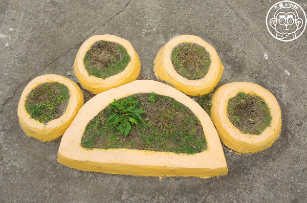 銀同社區藝術彩繪：作伙來企投【台南･銀同里彩繪巷弄 貓咪高地】貓咪控的好去處