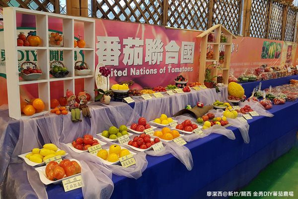 【新竹/關西】金勇DIY蕃茄農場(數訪)