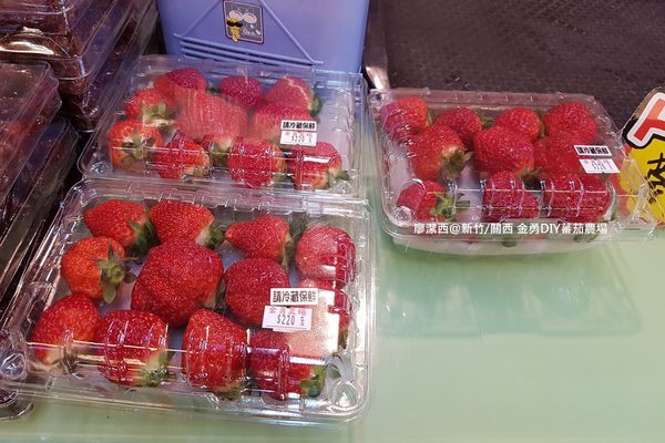 【新竹/關西】金勇DIY蕃茄農場(數訪)