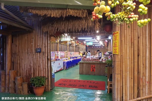 【新竹/關西】金勇DIY蕃茄農場(數訪)