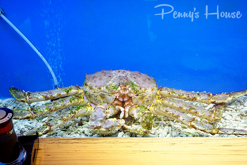 【新竹日本料理-吟川日本料理】豪華卻又平價的豪華海鮮丼，還有超肥厚的限量十份的鰻魚飯！