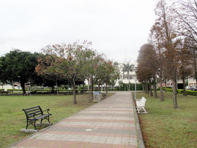 【桃園】落羽松大道~玉山公園