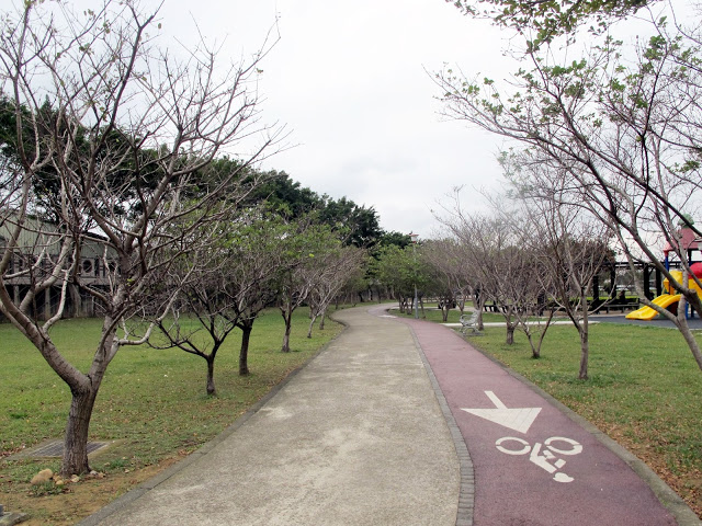 【桃園】落羽松大道~玉山公園