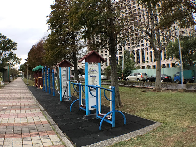 【桃園】落羽松大道~玉山公園