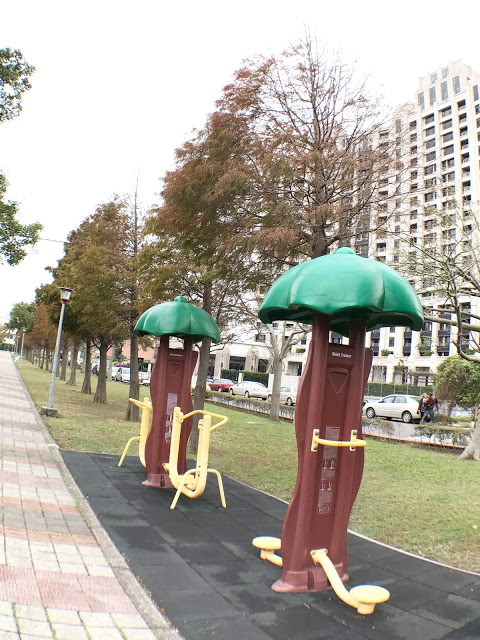 【桃園】落羽松大道~玉山公園