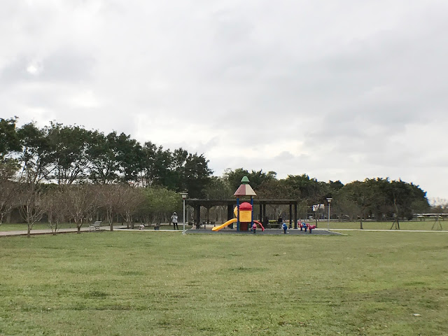 【桃園】落羽松大道~玉山公園