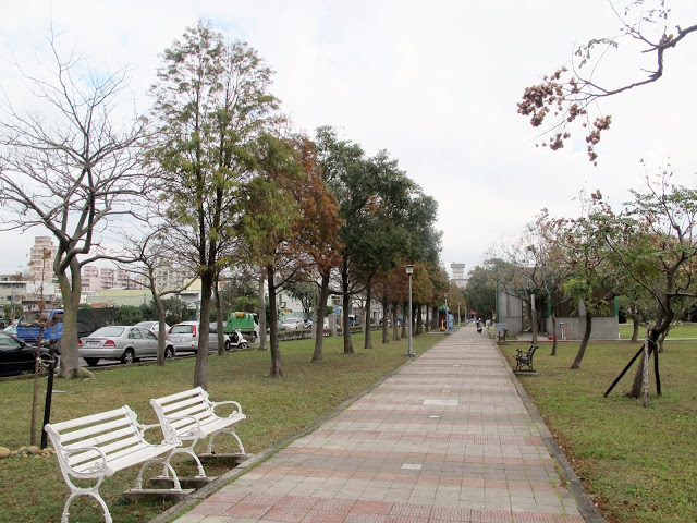 【桃園】落羽松大道~玉山公園