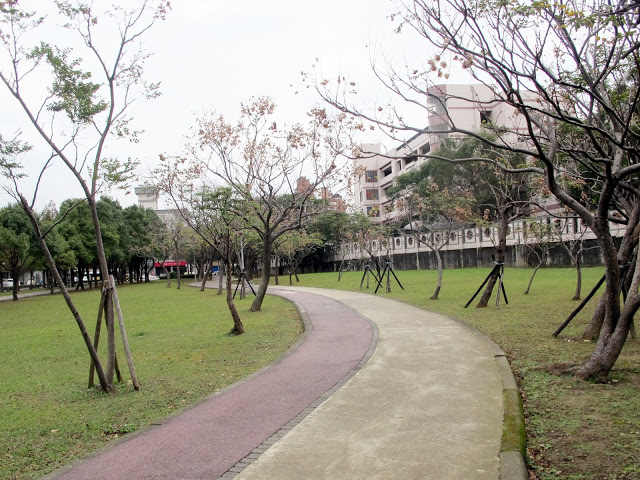 【桃園】落羽松大道~玉山公園