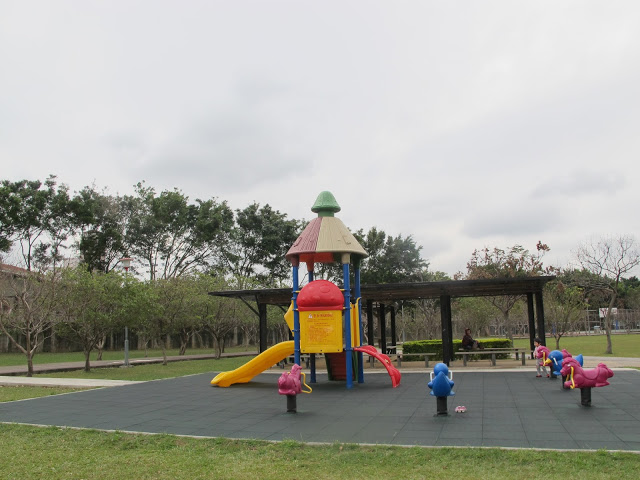 【桃園】落羽松大道~玉山公園