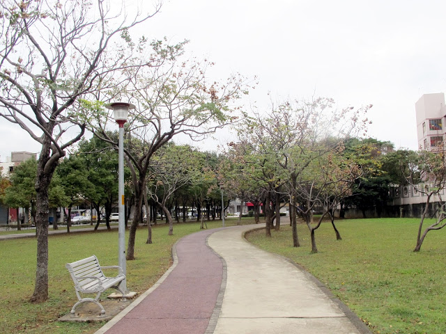 【桃園】落羽松大道~玉山公園