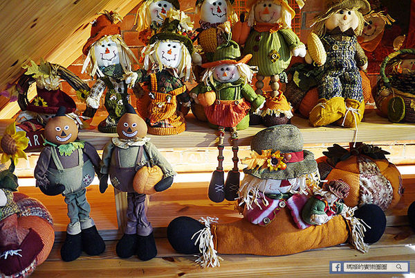 台中草悟道【南瓜屋魔女露露的廚房】滿滿南瓜圍繞童話故事主題風餐廳。草悟道義式料理