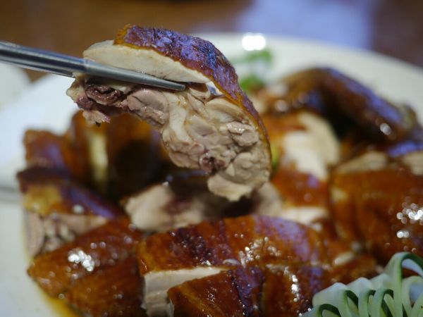【西屯美食】頂園燒鵝担仔廚房‖熱門桌菜店家‖烤雞烤鵝都推薦‖假日沒預約很難吃的到。